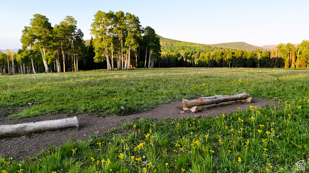 View of yard with a wooded view and a mountain view