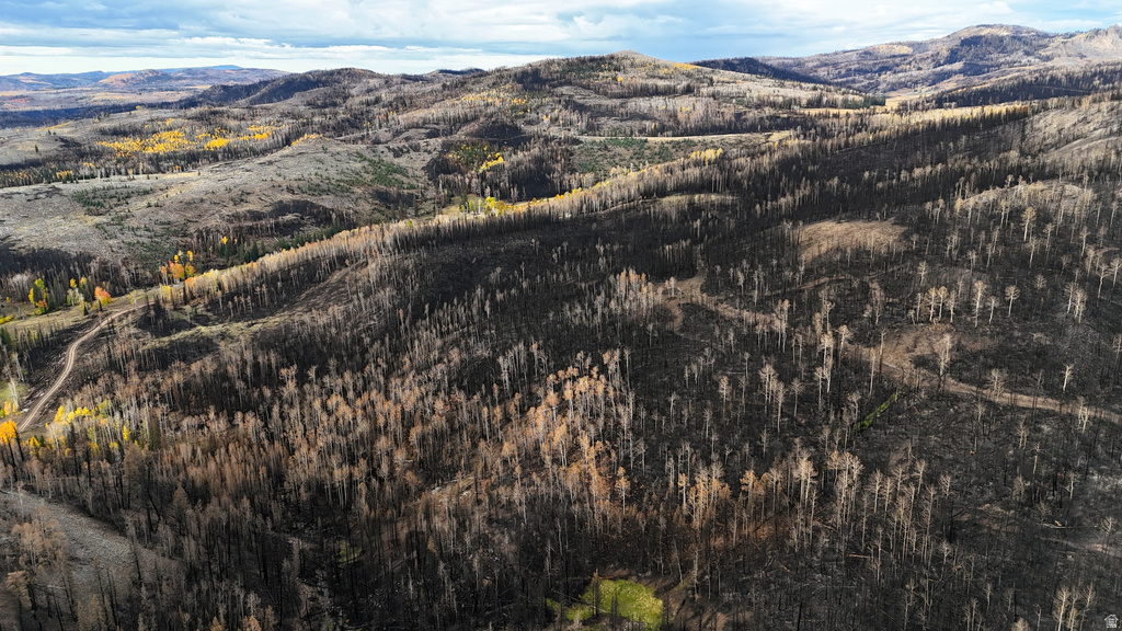 123  TBD MONROE CANYON RD Monroe, UT 84754