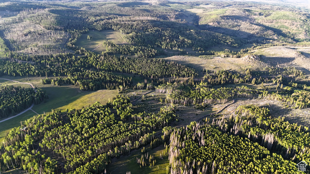 Aerial overview of property's location