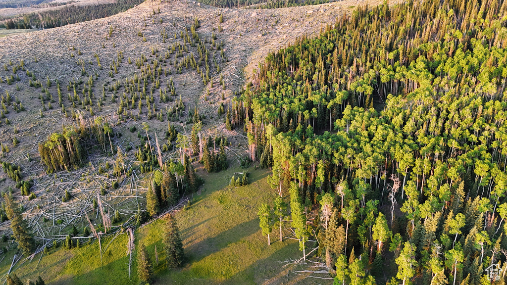 Aerial overview of property's location