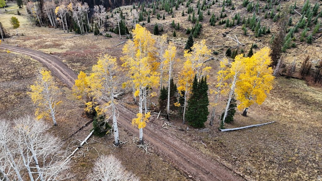 123  TBD MONROE CANYON RD Monroe, UT 84754