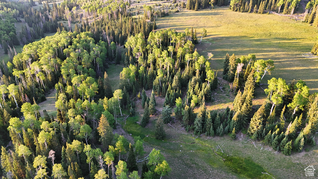 Aerial view of property and surrounding area featuring a forest