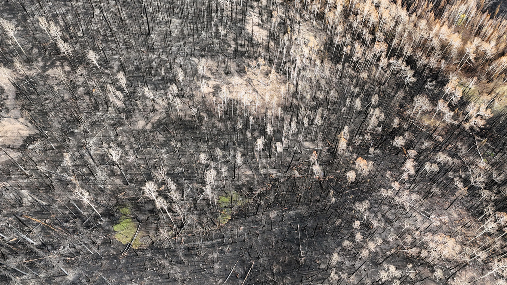 123  TBD MONROE CANYON RD Monroe, UT 84754