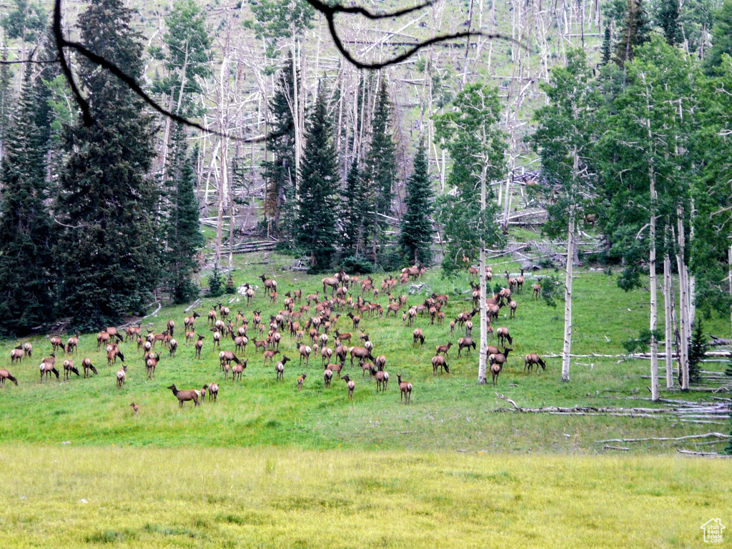 Surrounding community