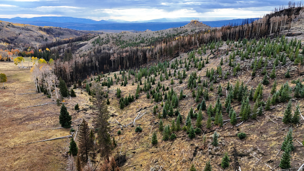 123  TBD MONROE CANYON RD Monroe, UT 84754