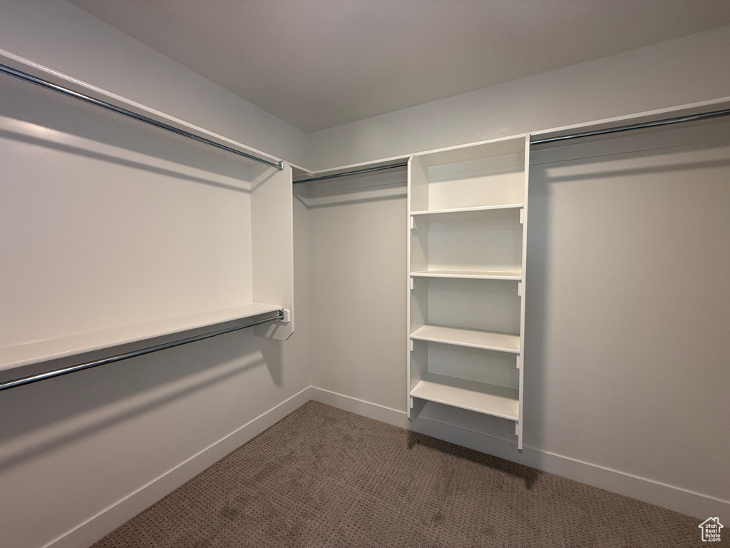 Walk in closet featuring dark colored carpet