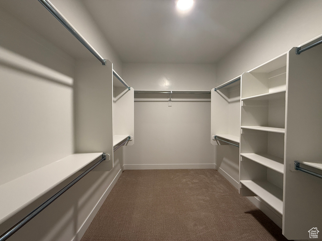 Walk in closet featuring dark colored carpet