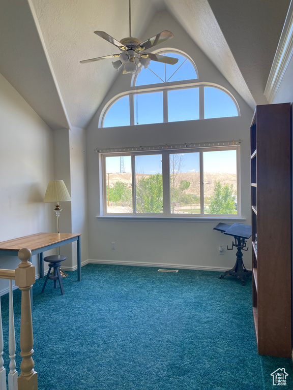 Carpeted home office featuring vaulted ceiling, a ceiling fan, and a textured ceiling