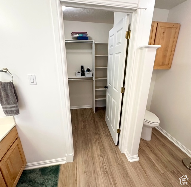 Bathroom featuring wood finished floors, vanity, and a spacious closet