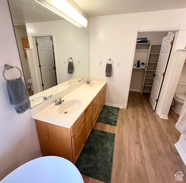 Bathroom with wood finished floors, double vanity, and a walk in closet