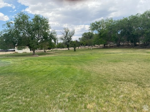 View of green lawn