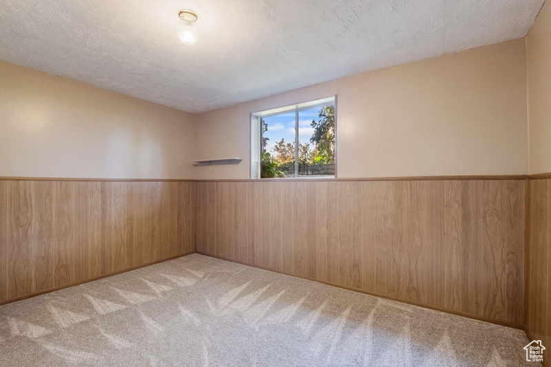 Carpeted spare room with a wainscoted wall, wooden walls, and a textured ceiling