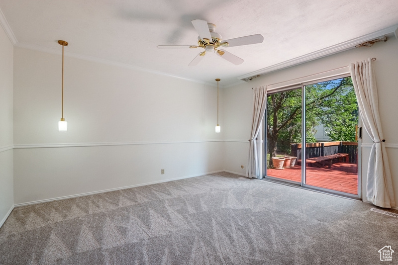 Empty room featuring carpet, ceiling fan, and crown molding