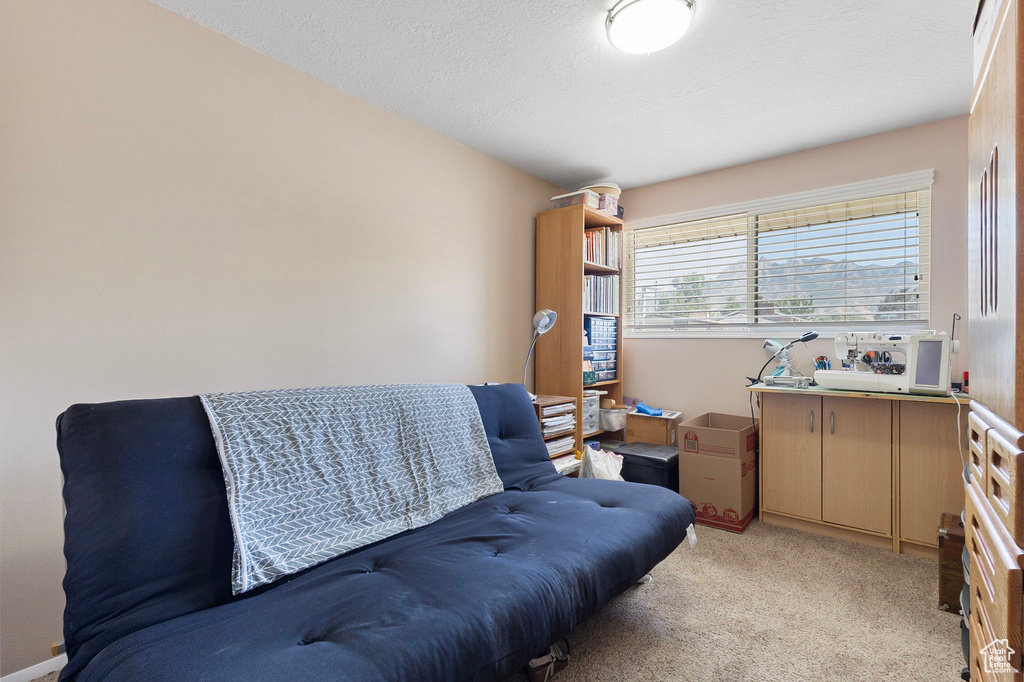 Living area featuring light carpet