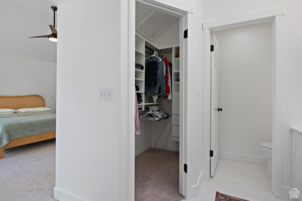 View of closet