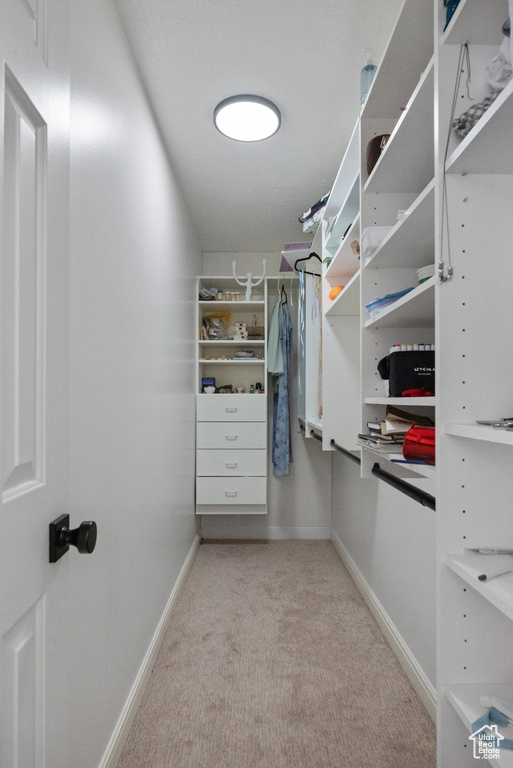 Spacious closet featuring carpet flooring