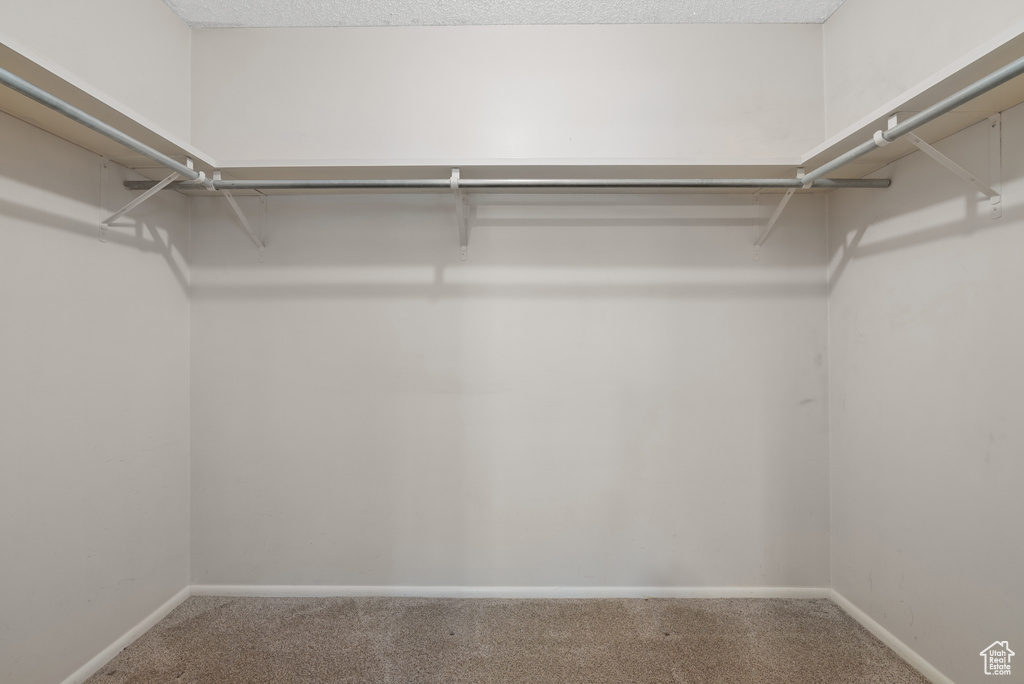 Spacious closet featuring carpet