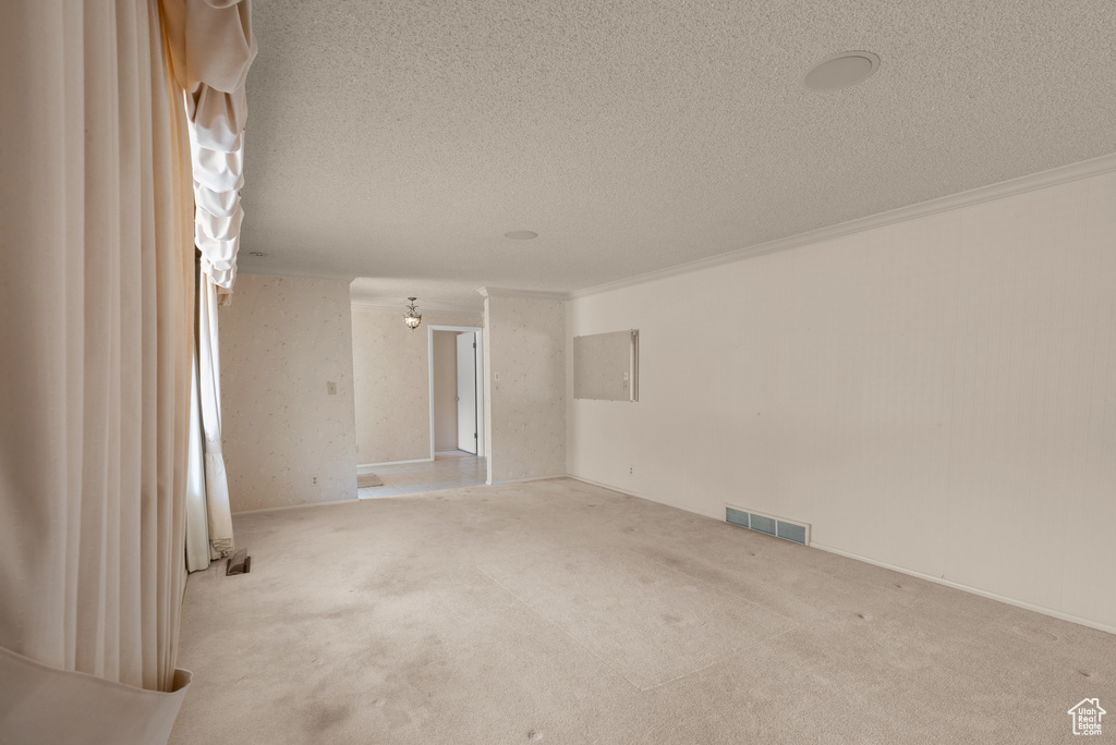 Carpeted spare room featuring a textured ceiling and crown molding