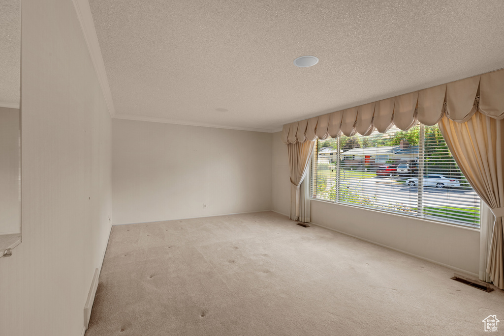 Empty room featuring a textured ceiling, light colored carpet, and ornamental molding