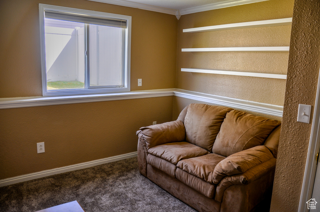 Sitting room with ornamental molding, carpet flooring, and a textured wall