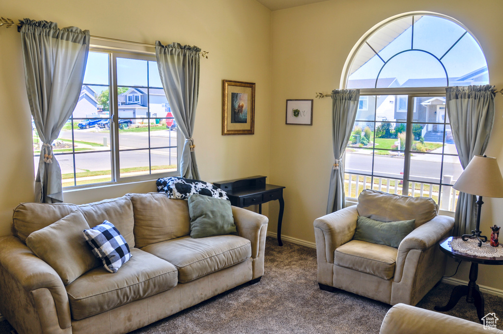 Living area featuring carpet floors and baseboards