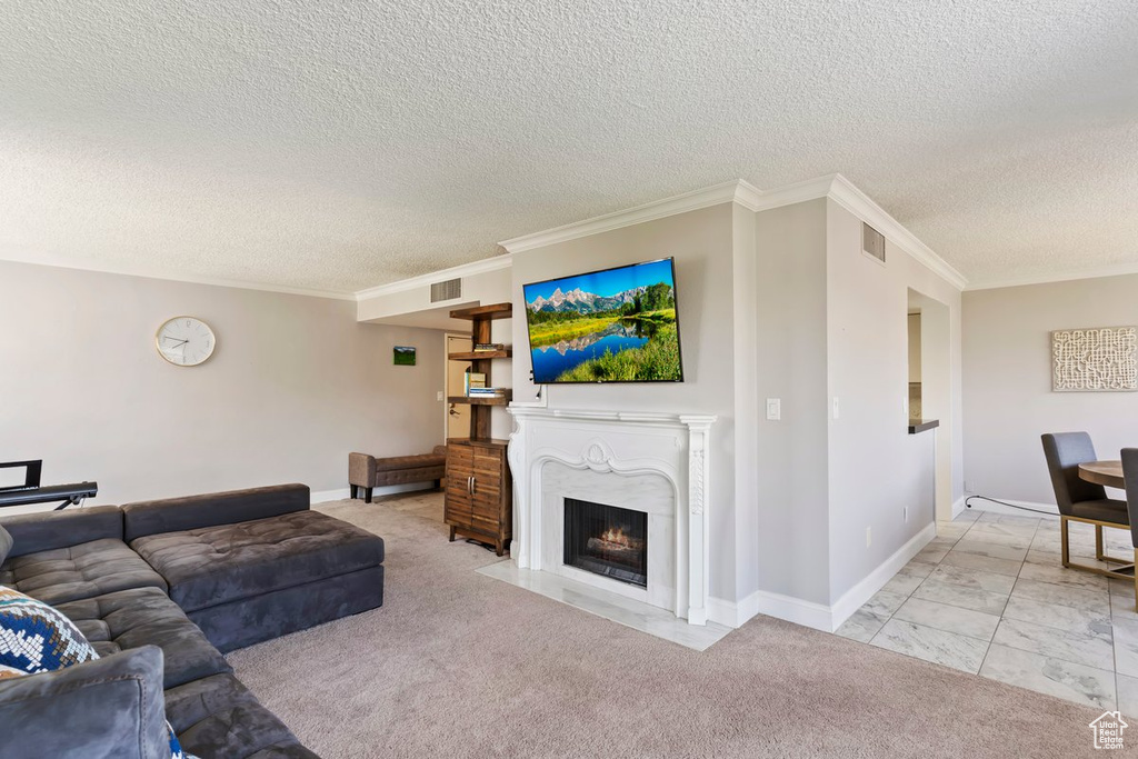 Living area with a textured ceiling, ornamental molding, and a premium fireplace