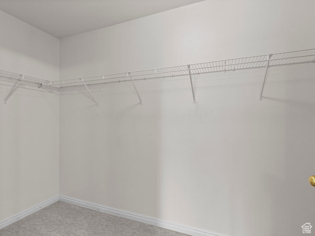 Walk in closet featuring light colored carpet