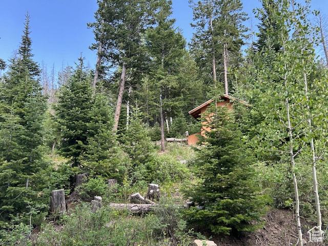 29595 S 37625 W Duchesne, UT 84021