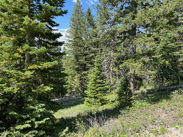 29595 S 37625 W Duchesne, UT 84021