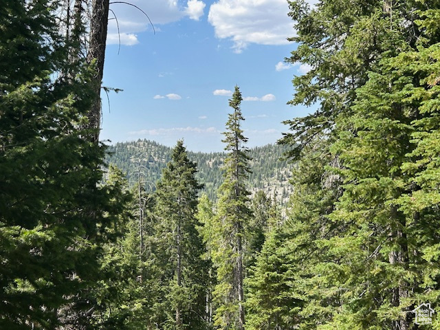 29595 S 37625 W Duchesne, UT 84021