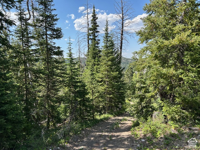 29595 S 37625 W Duchesne, UT 84021