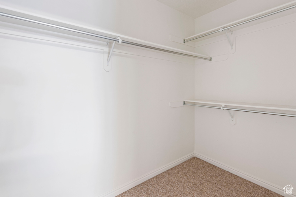Spacious closet featuring carpet