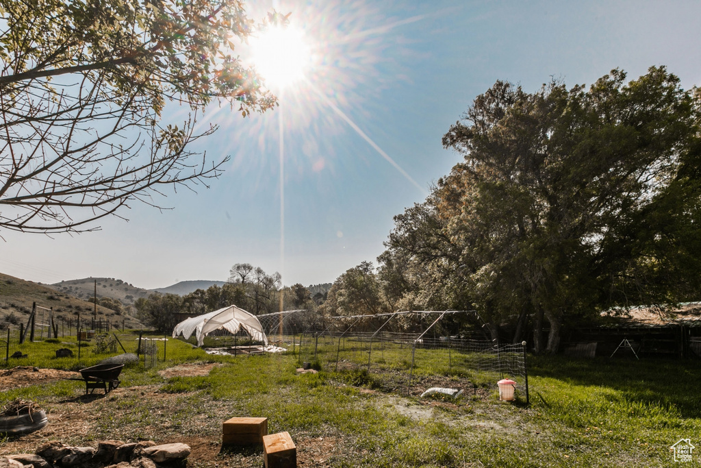 View of yard featuring a mountain view and a view of rural / pastoral area