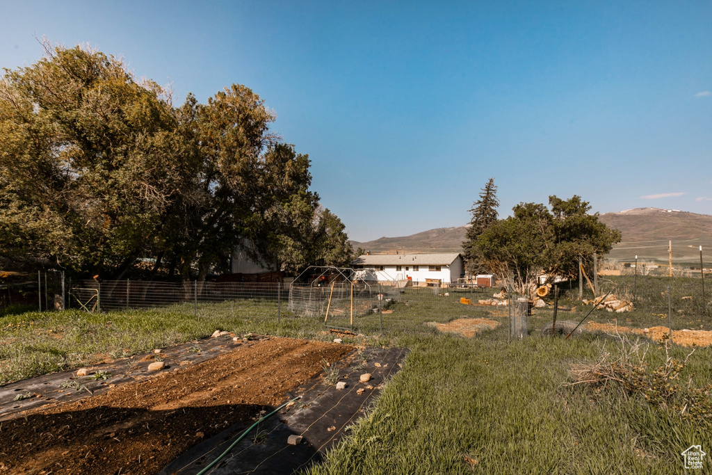 View of yard with a mountain view