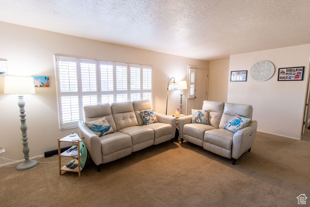 Carpeted living room with plenty of natural light and a textured ceiling