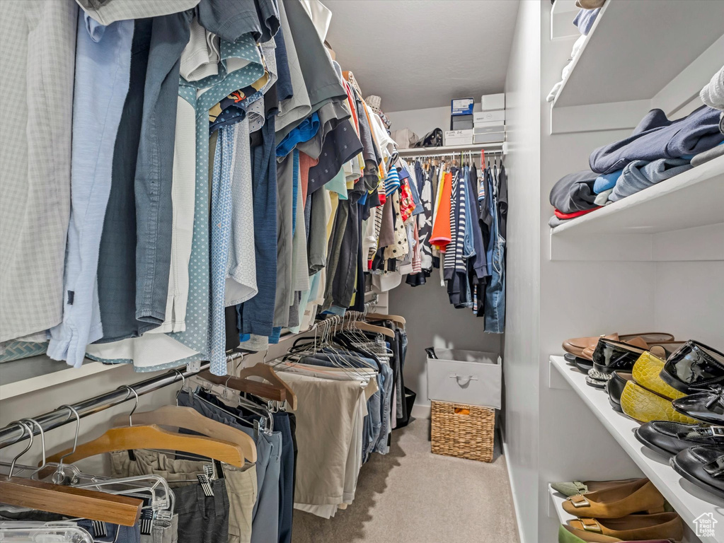 Walk in closet featuring carpet floors