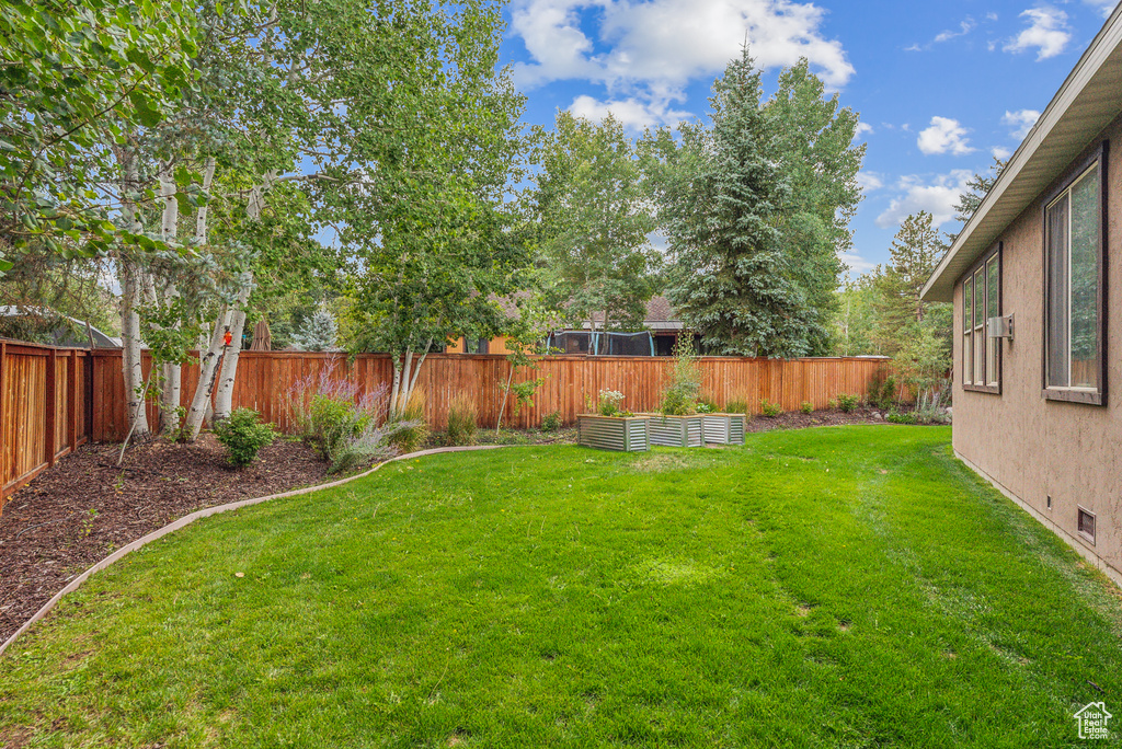 Fenced backyard featuring a garden
