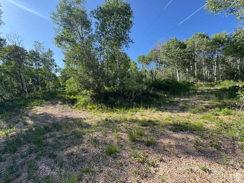 5592  FREEMONT TRL Oakley, UT 84055