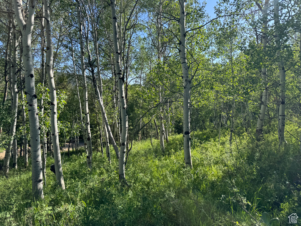 5592  FREEMONT TRL Oakley, UT 84055