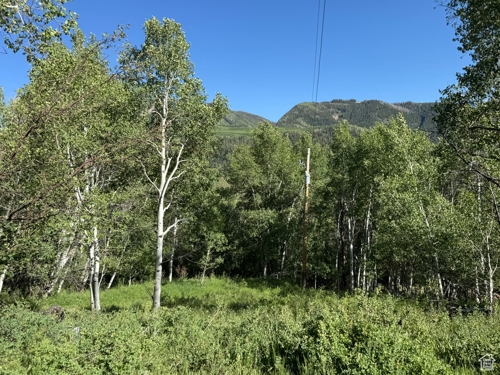 5592  FREEMONT TRL Oakley, UT 84055