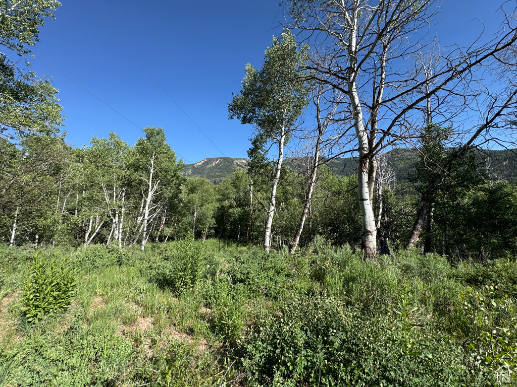 5592  FREEMONT TRL Oakley, UT 84055