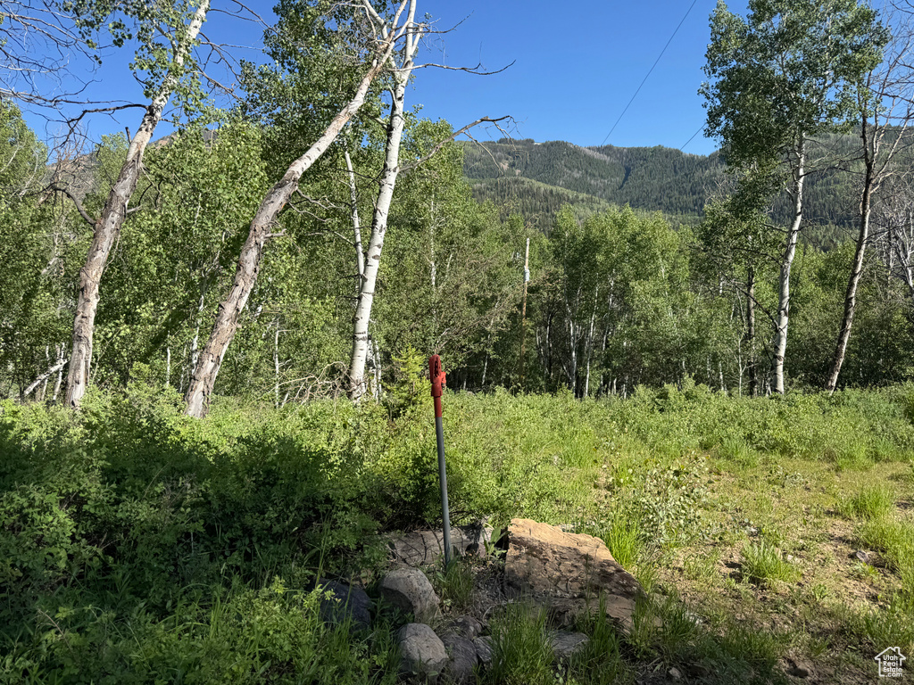 5592  FREEMONT TRL Oakley, UT 84055