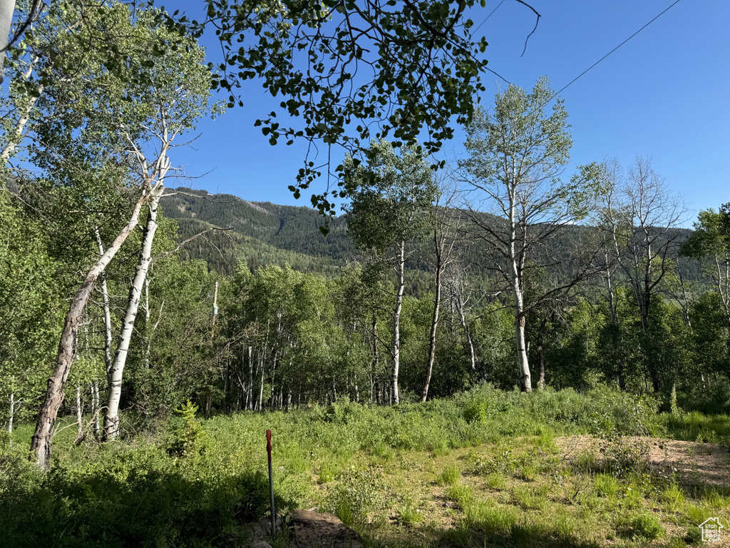 5592  FREEMONT TRL Oakley, UT 84055