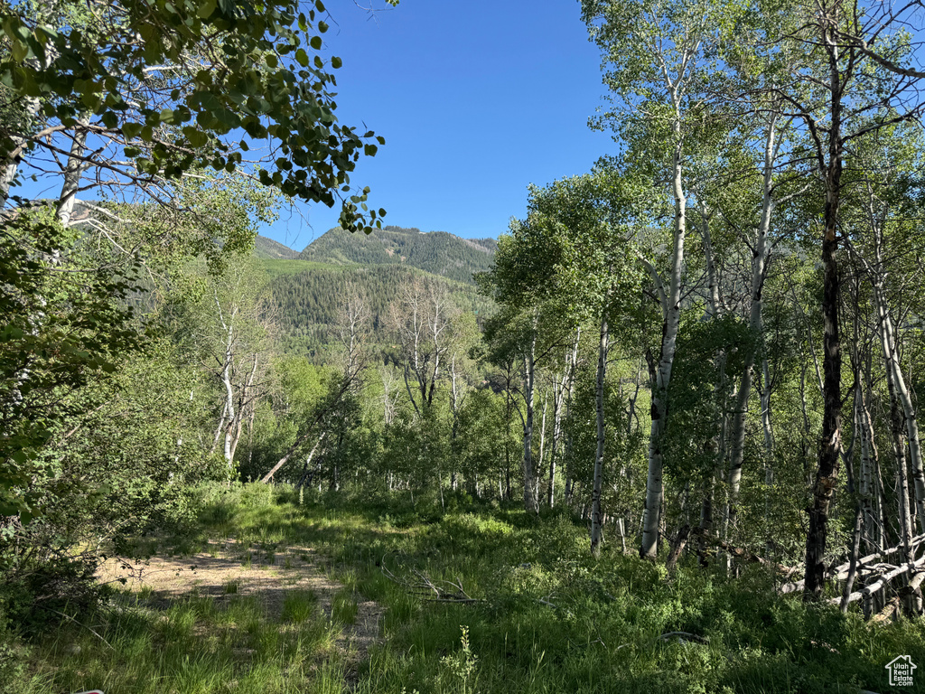 5592  FREEMONT TRL Oakley, UT 84055