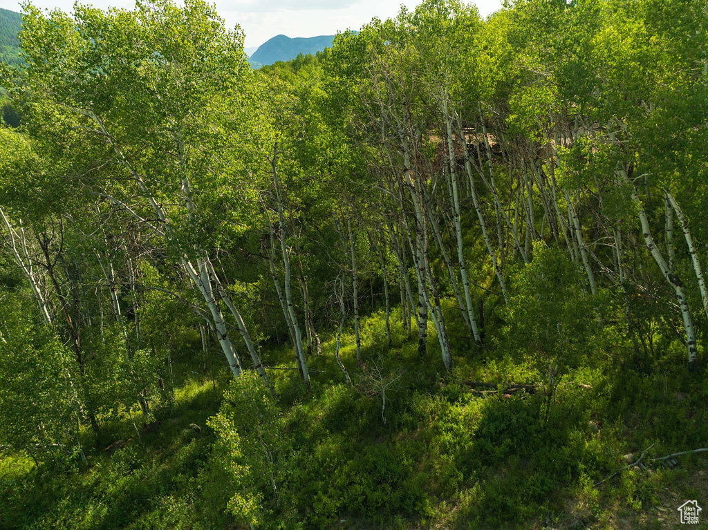 5592  FREEMONT TRL Oakley, UT 84055