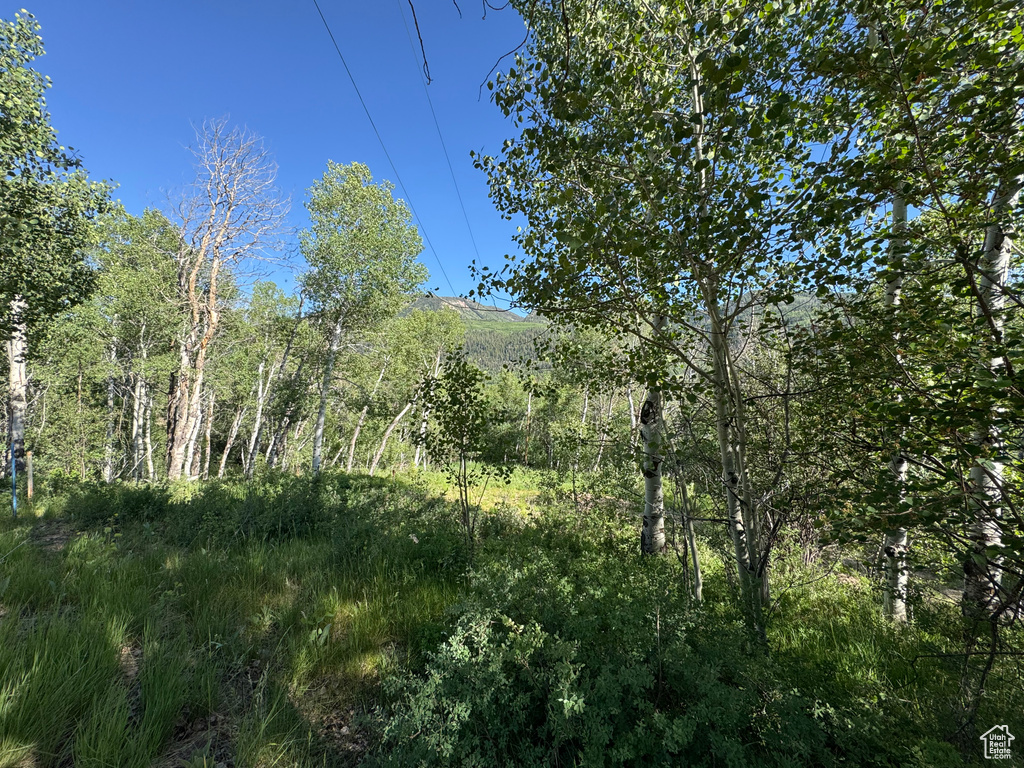 5592  FREEMONT TRL Oakley, UT 84055