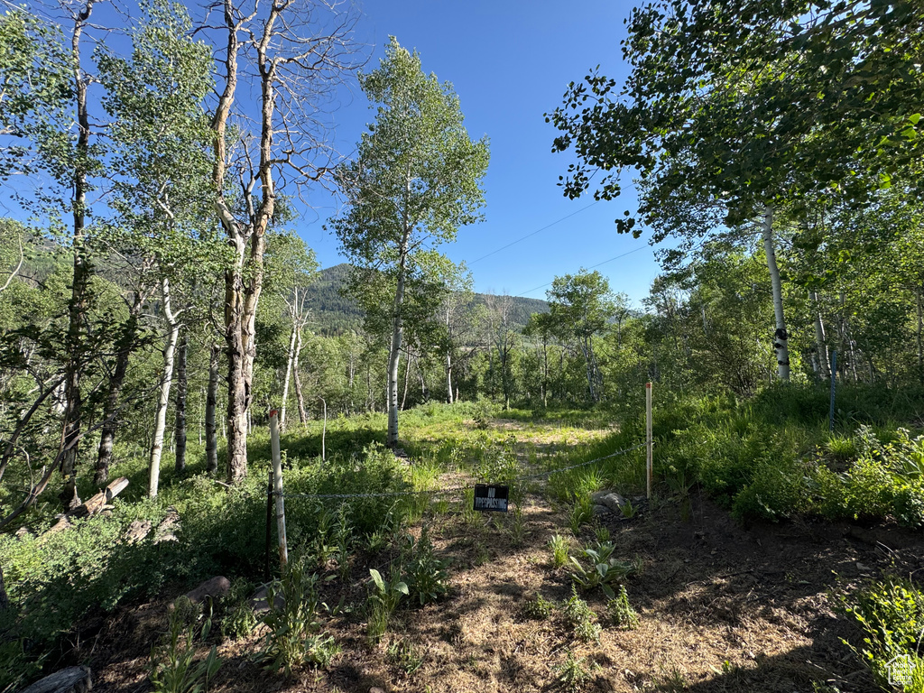 5592  FREEMONT TRL Oakley, UT 84055
