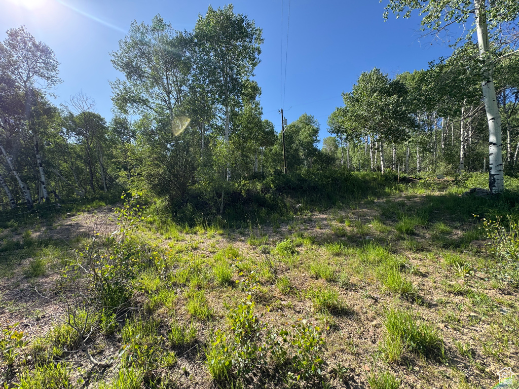 5592  FREEMONT TRL Oakley, UT 84055