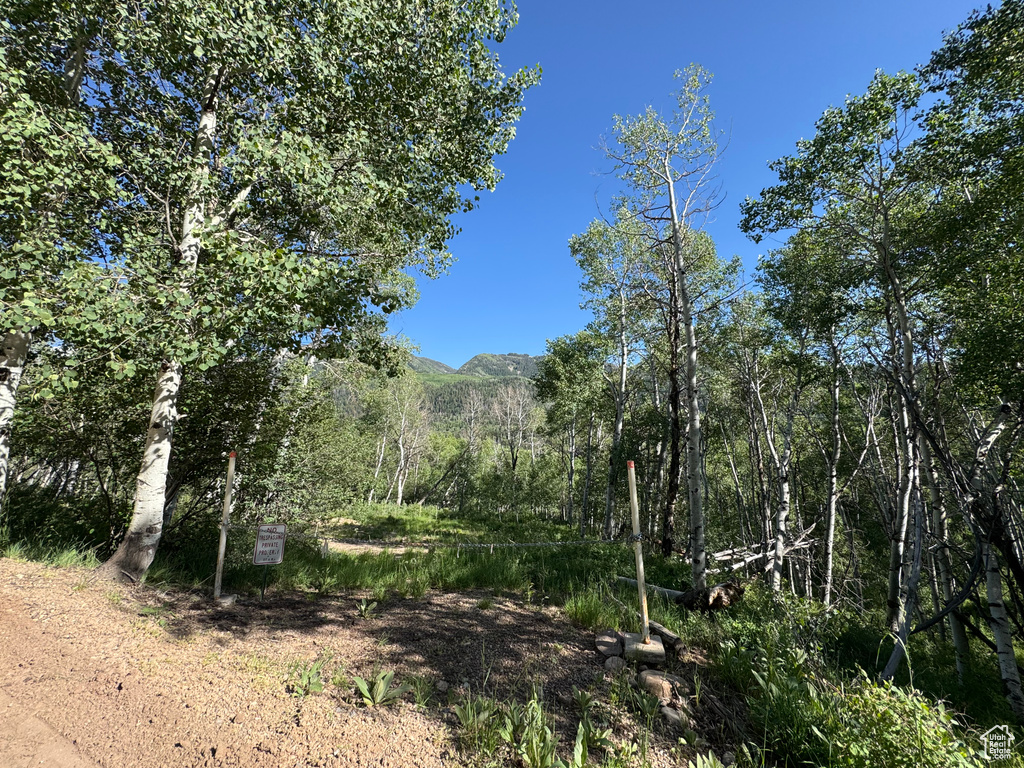 5592  FREEMONT TRL Oakley, UT 84055