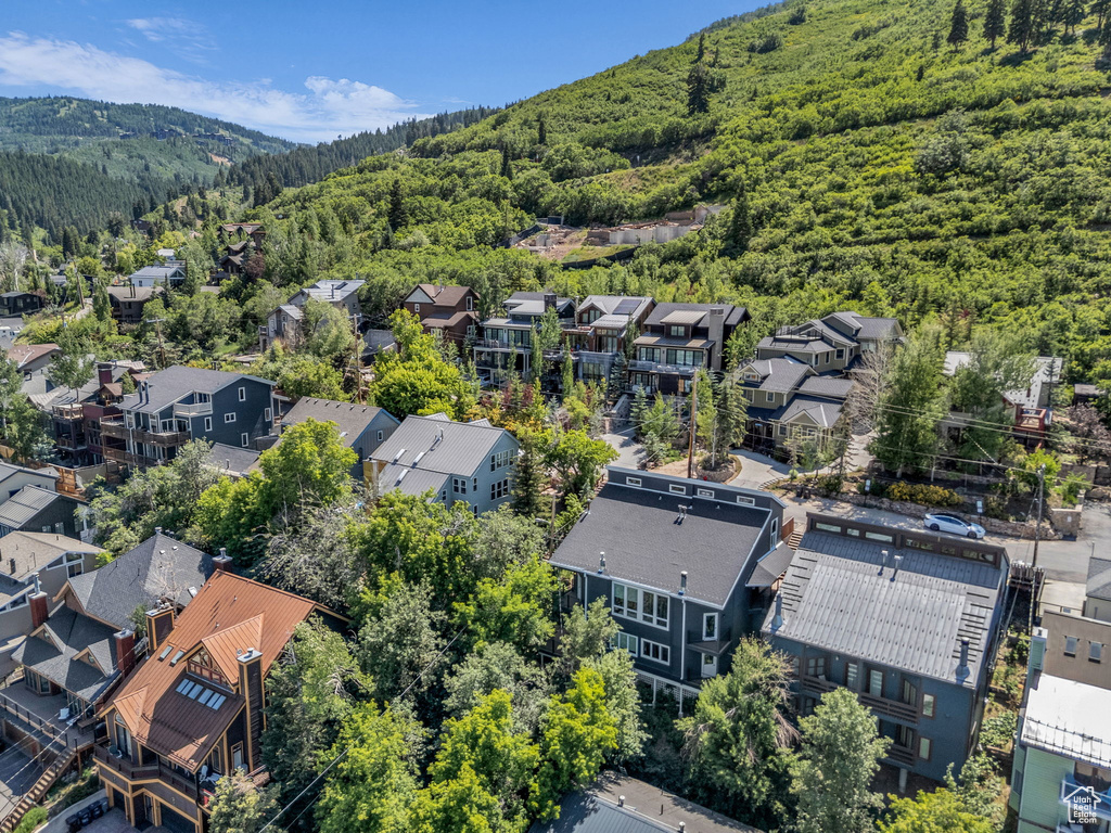 Aerial view of residential area with a forest